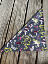 Load image into Gallery viewer, Witch snap back bandana