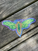 Load image into Gallery viewer, 7x4” cicada’s sing Patch
