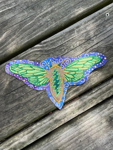 7x4” cicada’s sing Patch